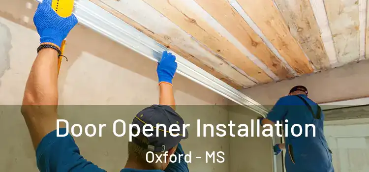  Door Opener Installation Oxford - MS