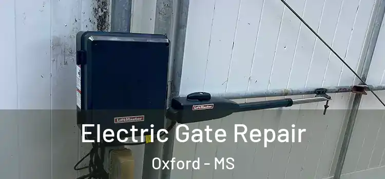  Electric Gate Repair Oxford - MS