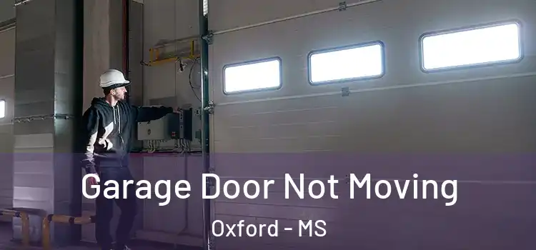  Garage Door Not Moving Oxford - MS