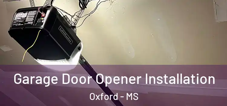  Garage Door Opener Installation Oxford - MS