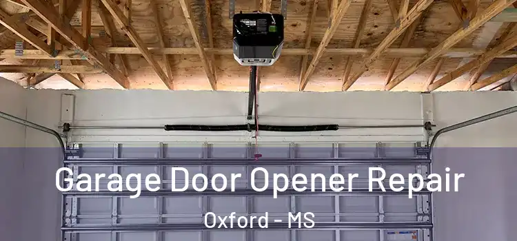  Garage Door Opener Repair Oxford - MS