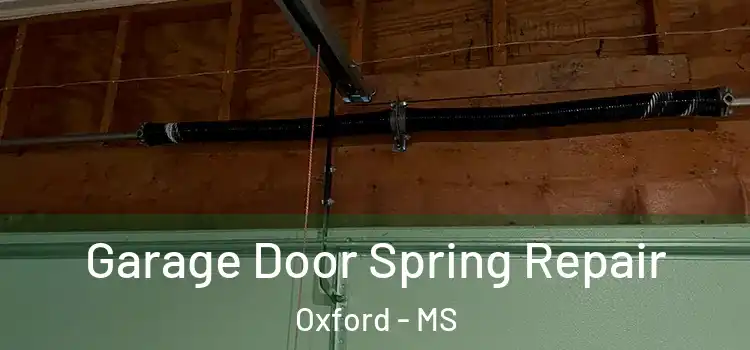  Garage Door Spring Repair Oxford - MS