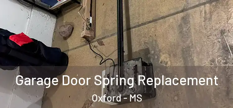  Garage Door Spring Replacement Oxford - MS