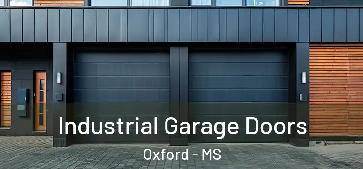  Industrial Garage Doors Oxford - MS