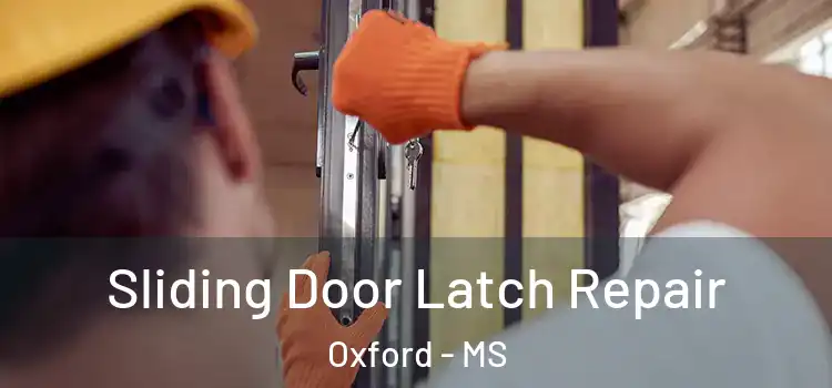  Sliding Door Latch Repair Oxford - MS