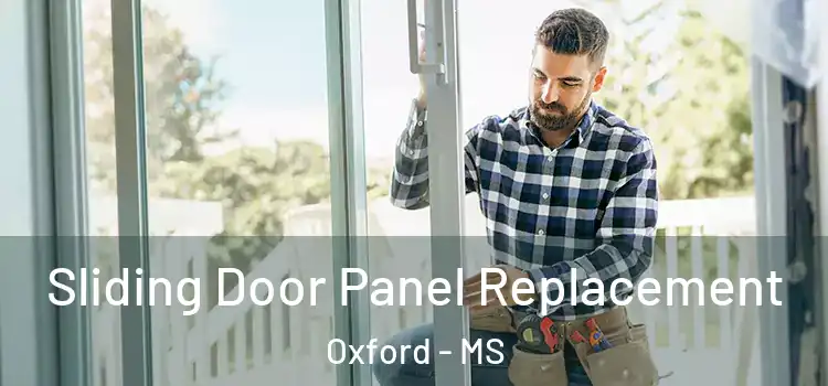  Sliding Door Panel Replacement Oxford - MS